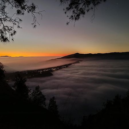 Uciek Tengger Bromo Ngadisari Εξωτερικό φωτογραφία